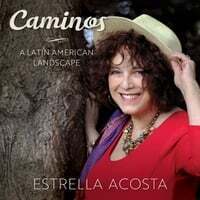Caminos - A Latin American Landscape